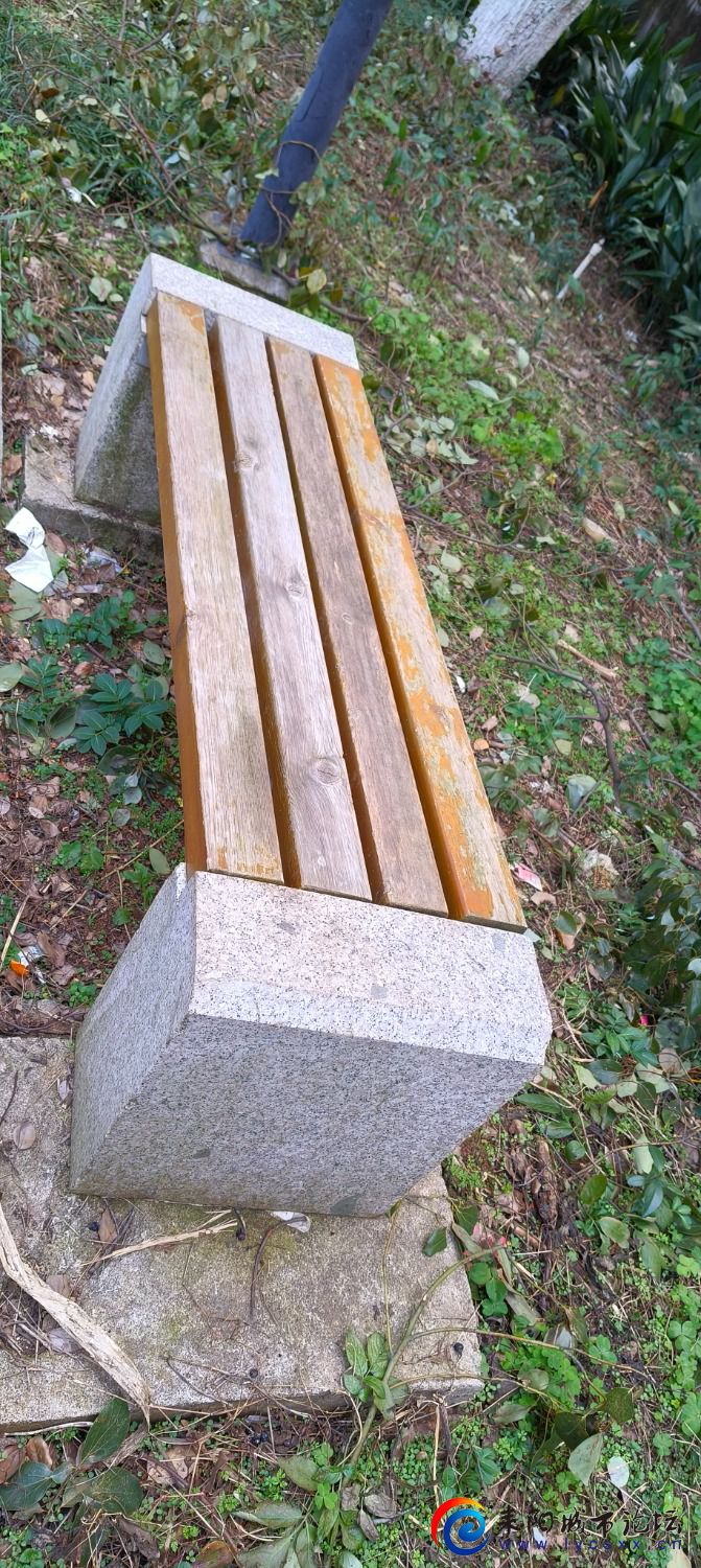 IMG20240217154700.jpg