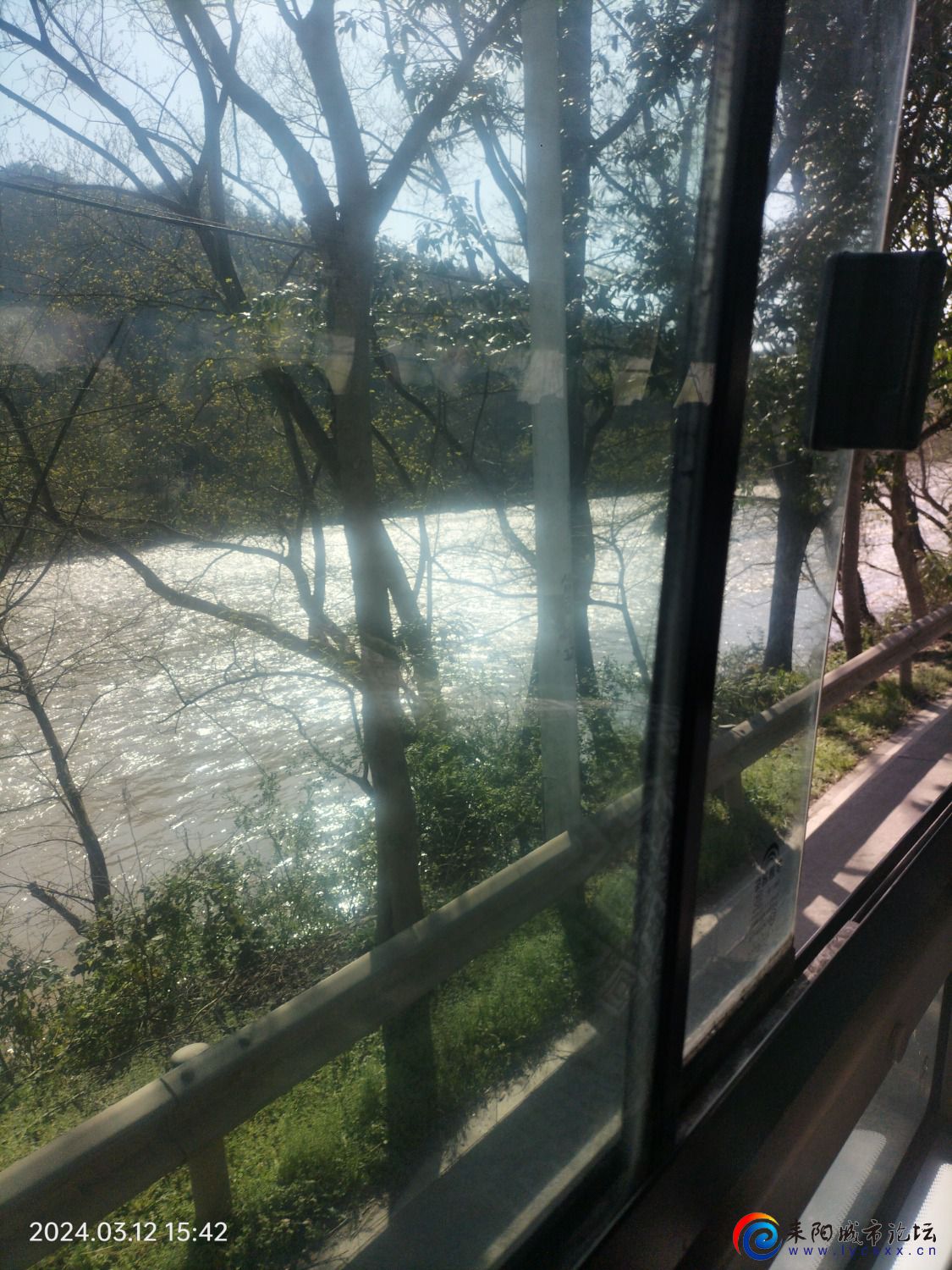 IMG20240312154244.jpg