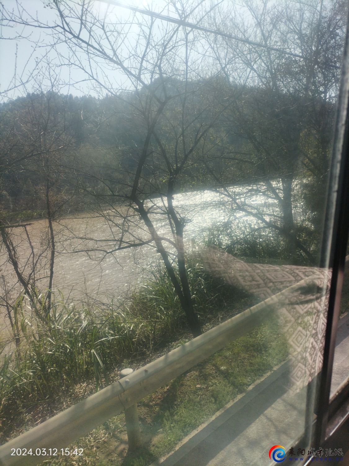 IMG20240312154237.jpg