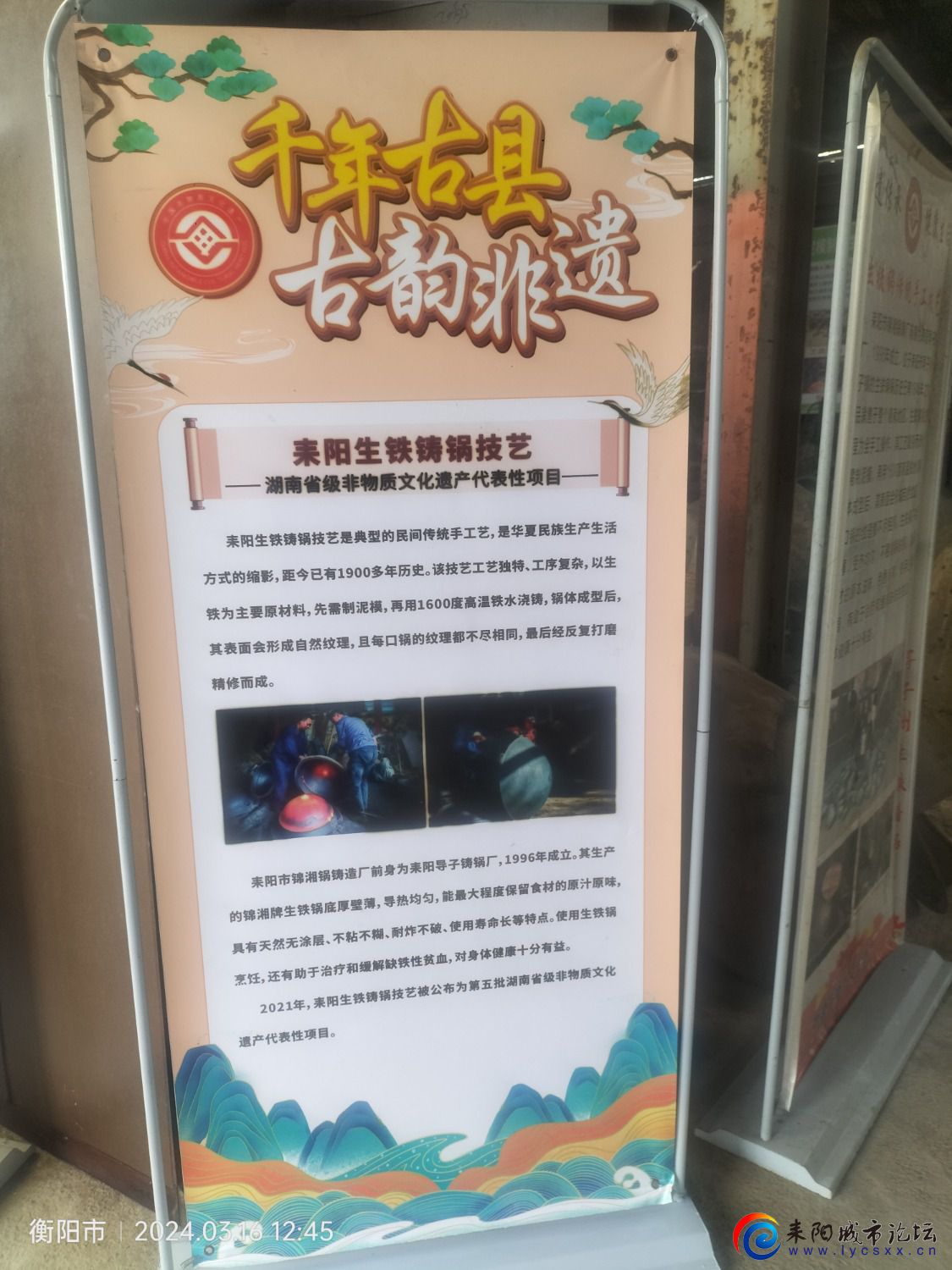 IMG20240316124520.jpg
