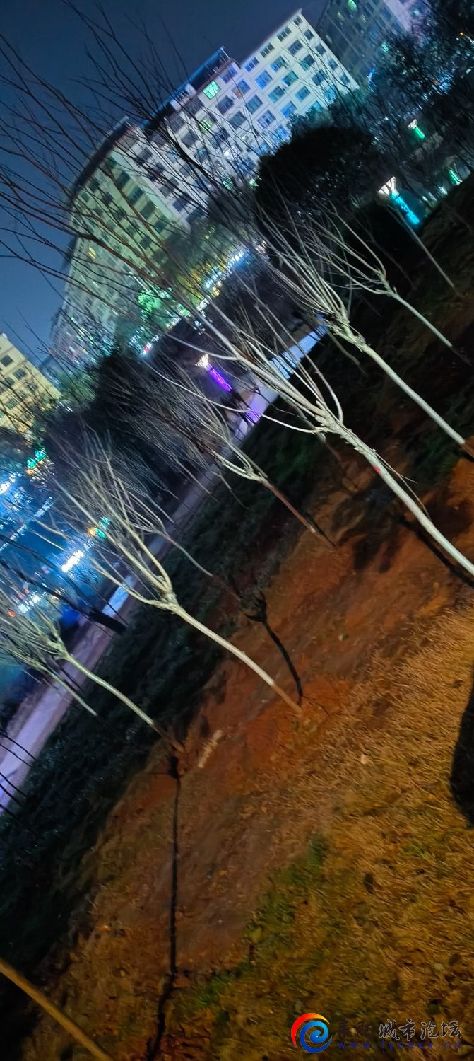 IMG20240319211125.jpg