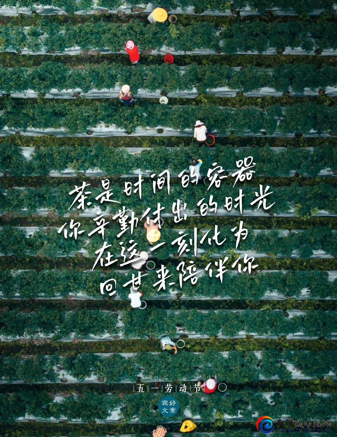 v2-c6c55407efe11074a4f9fa32e008d94b.jpeg