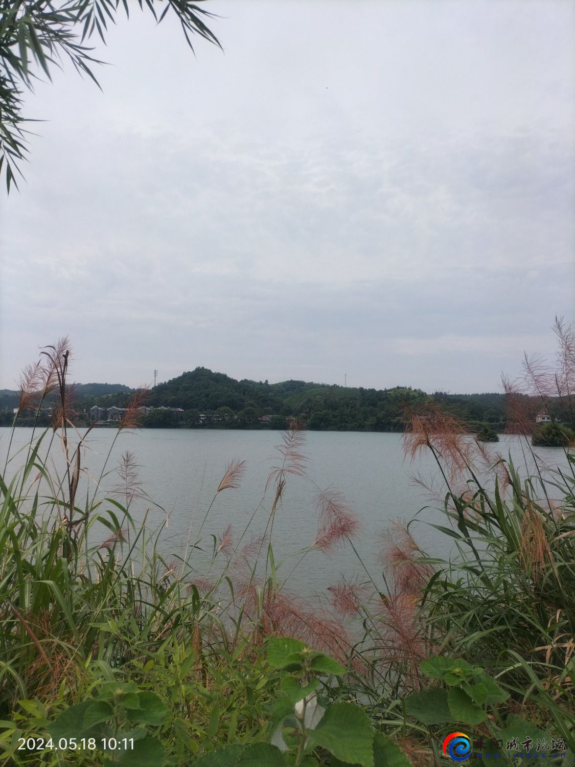 IMG20240518101123.jpg