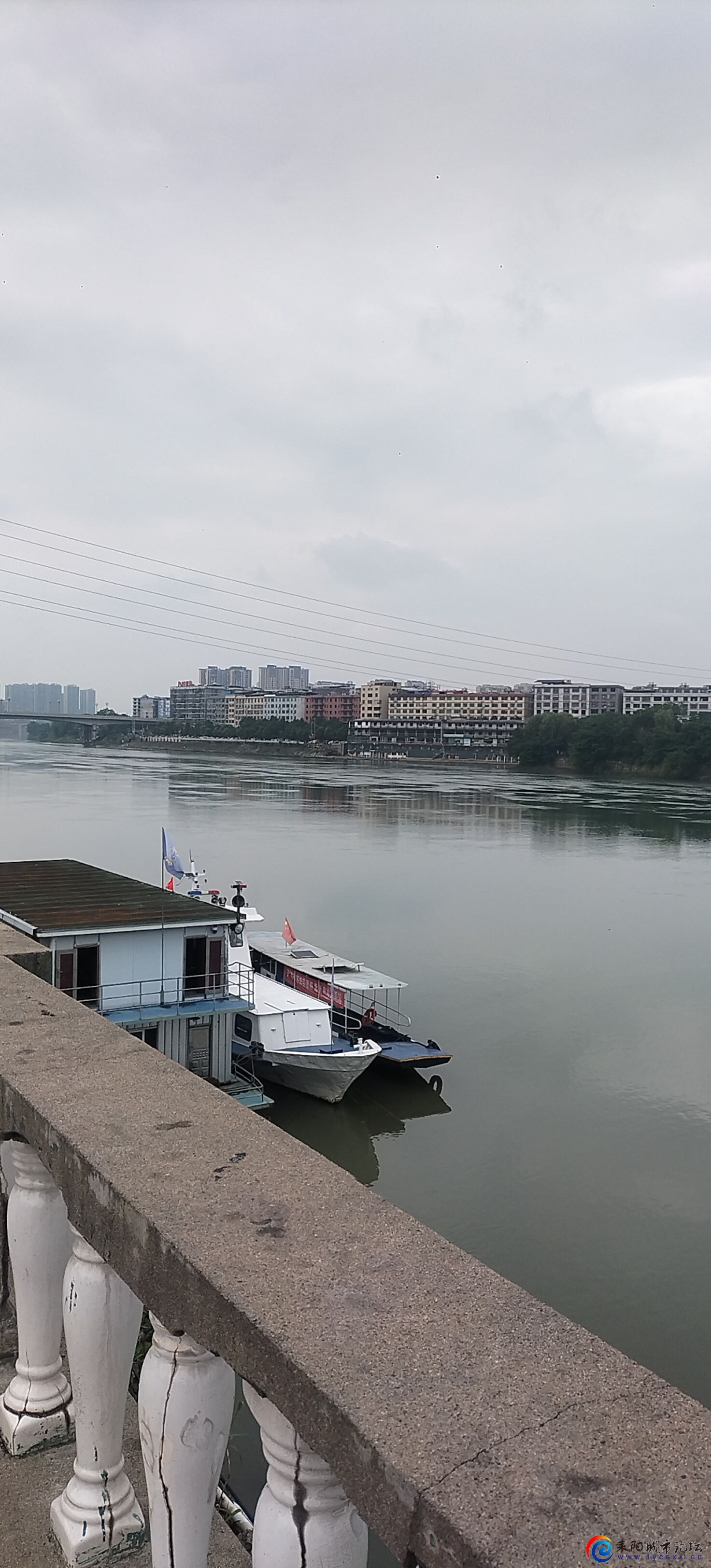 IMG20240521151517.jpg