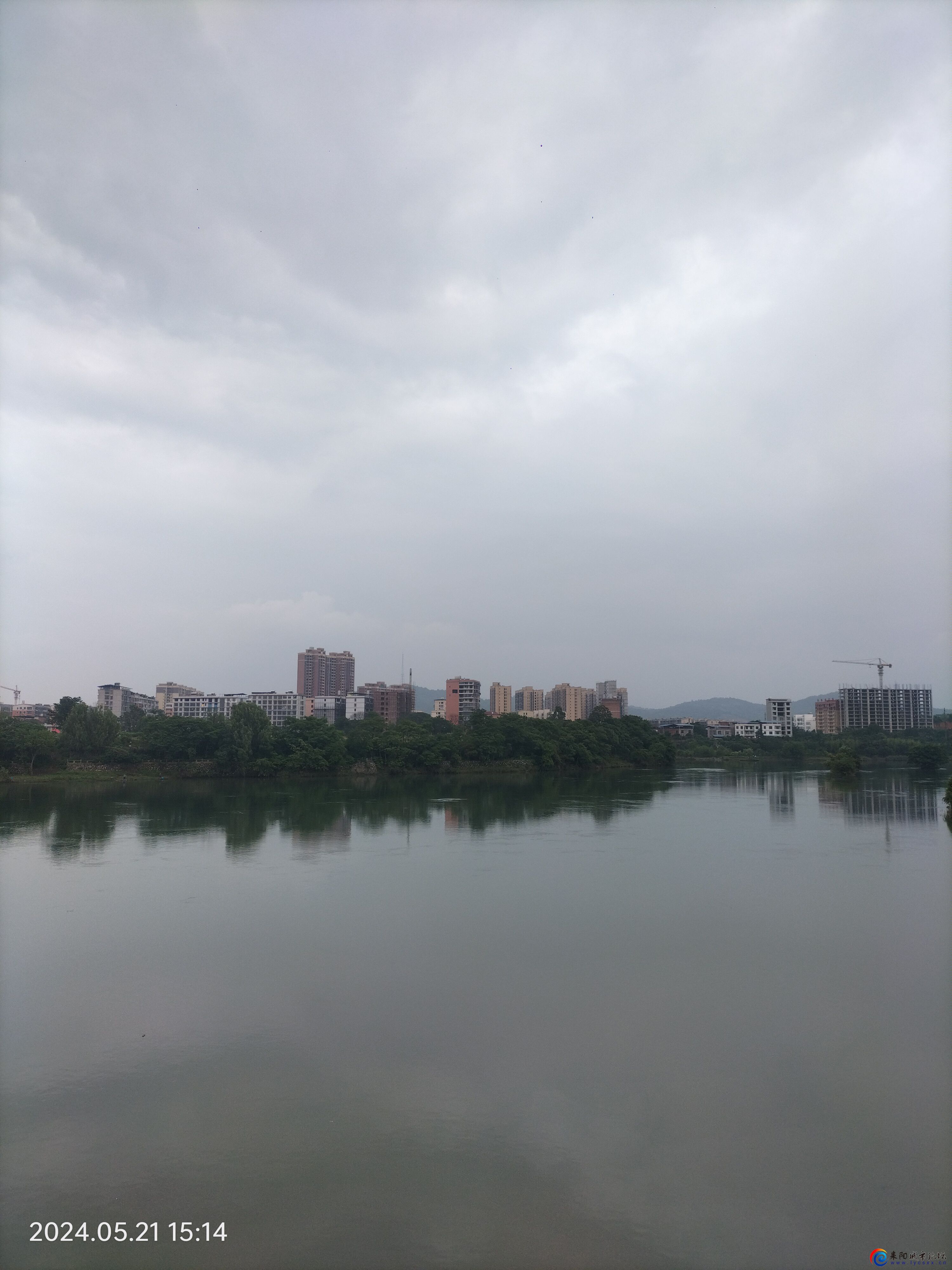IMG20240521151436.jpg
