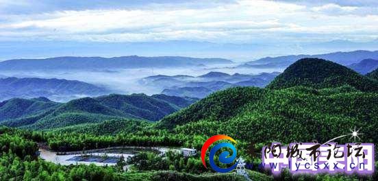 IMG_20240523_094521.jpg