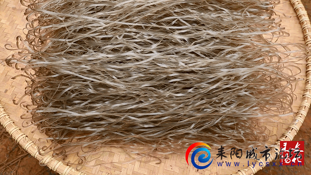 mmexport7b871b5a8e27ca893d62960492134fc9_1706330120345.gif