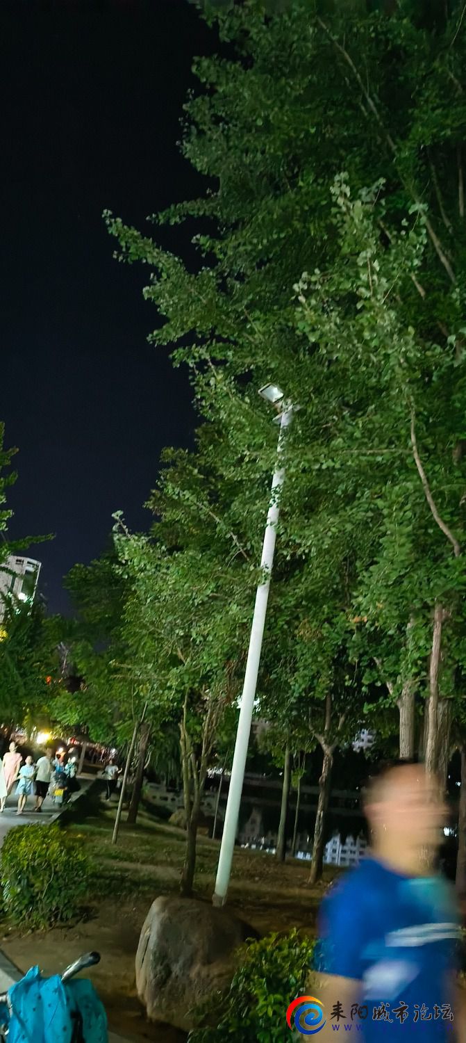 IMG20240706205032.jpg