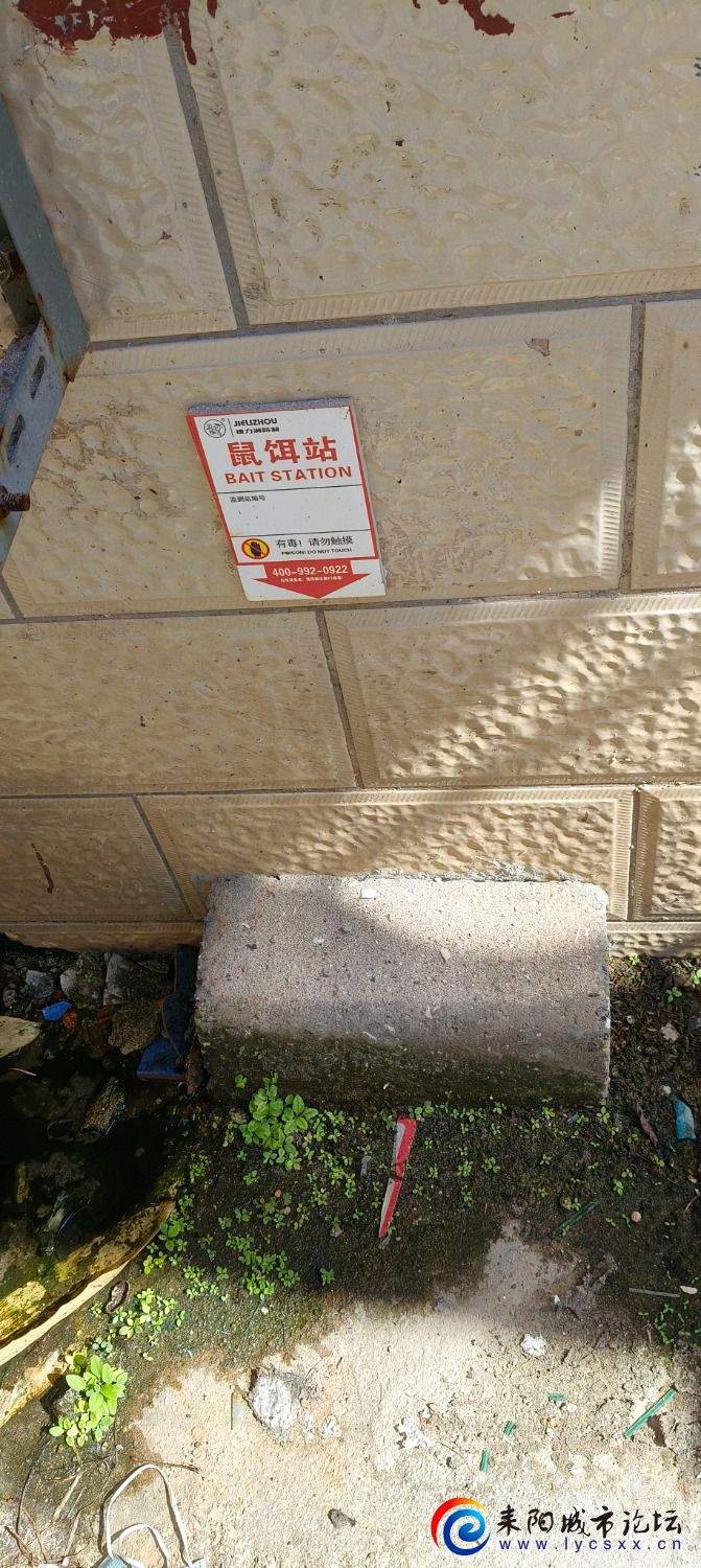 IMG20240824093043.jpg