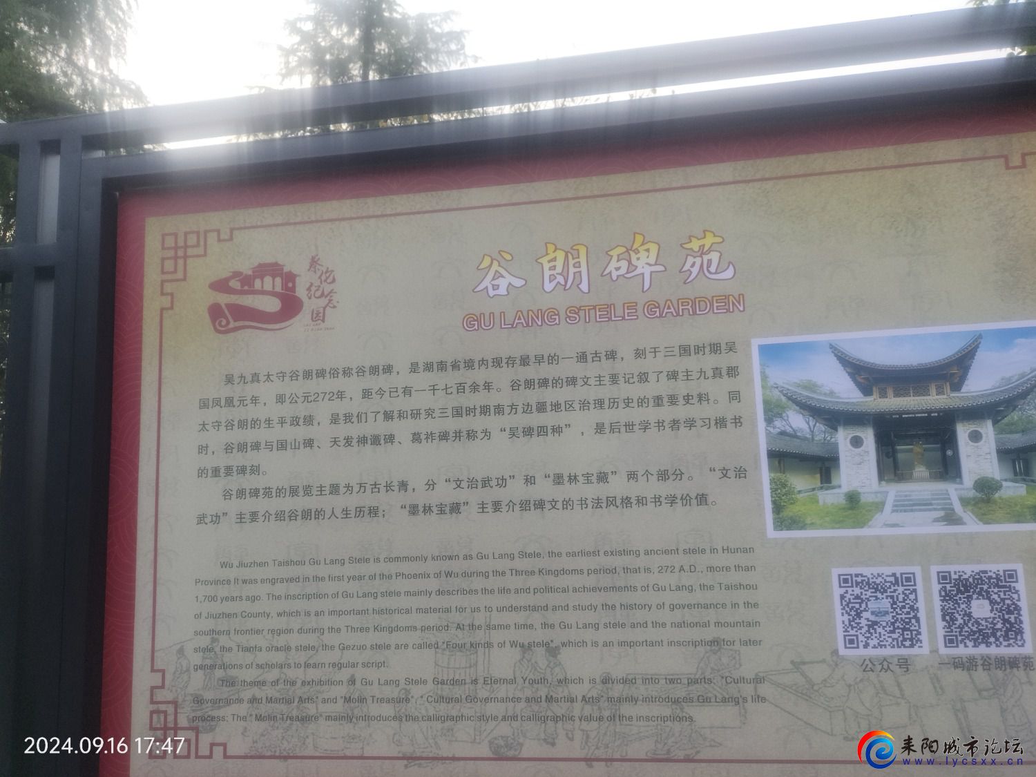 IMG20240916174711.jpg