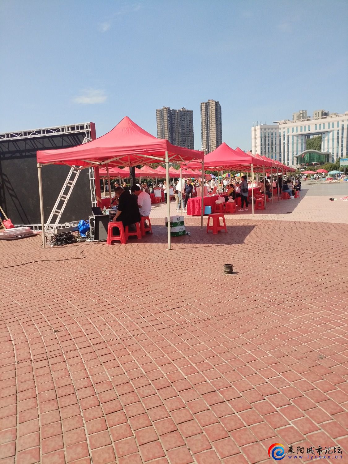 IMG_20241002_110235.jpg