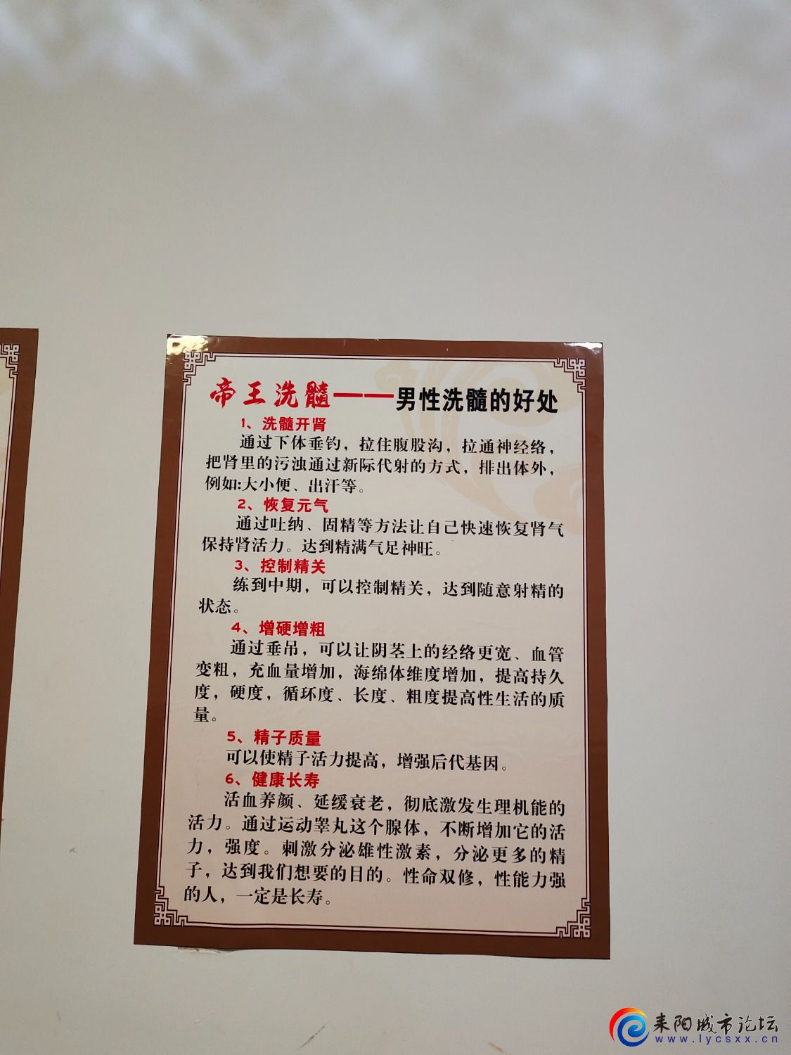 IMG_20241008_143631.jpg
