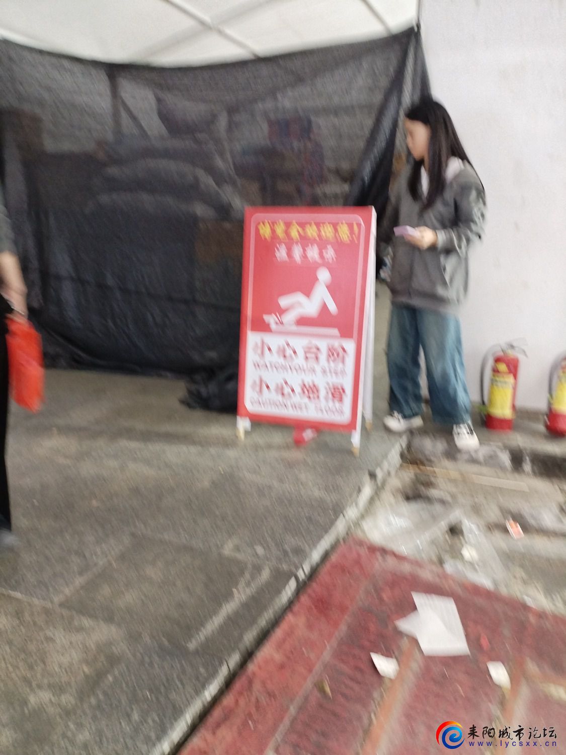 IMG_20241110_175240.jpg
