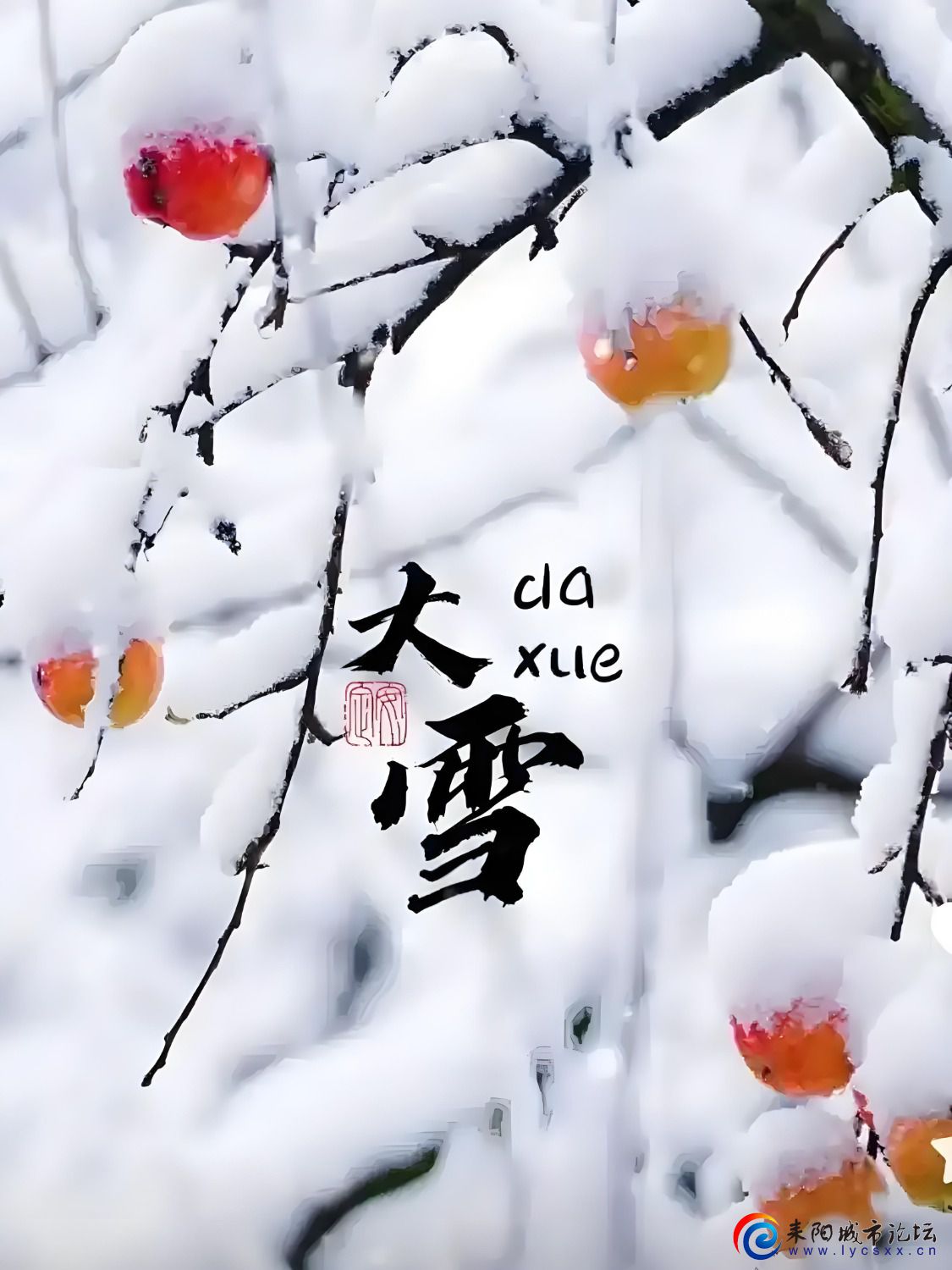2063cbee5fc1a30eb49244c109a89ef7.jpeg