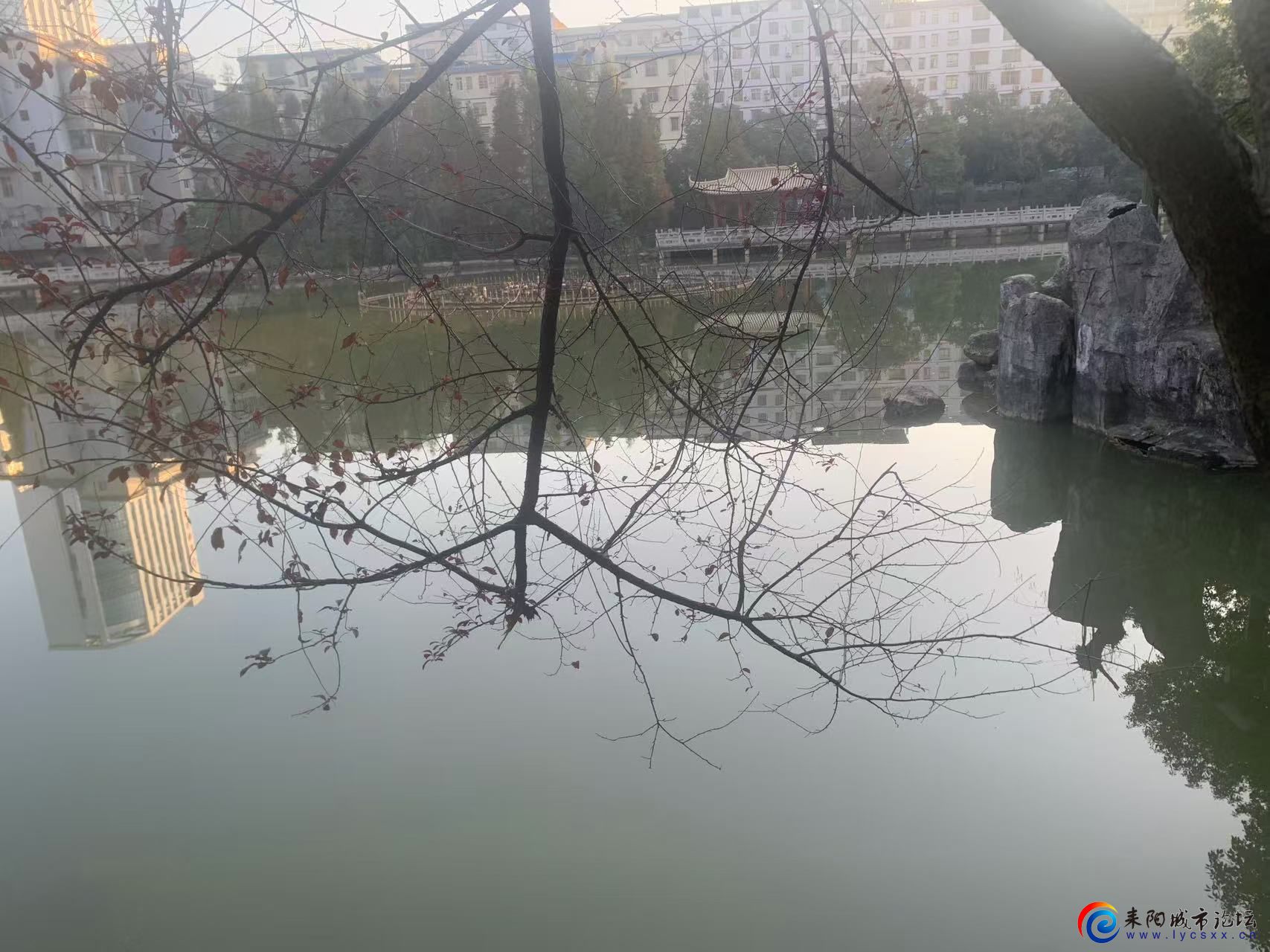 ΢ͼƬ_20241206151415.jpg