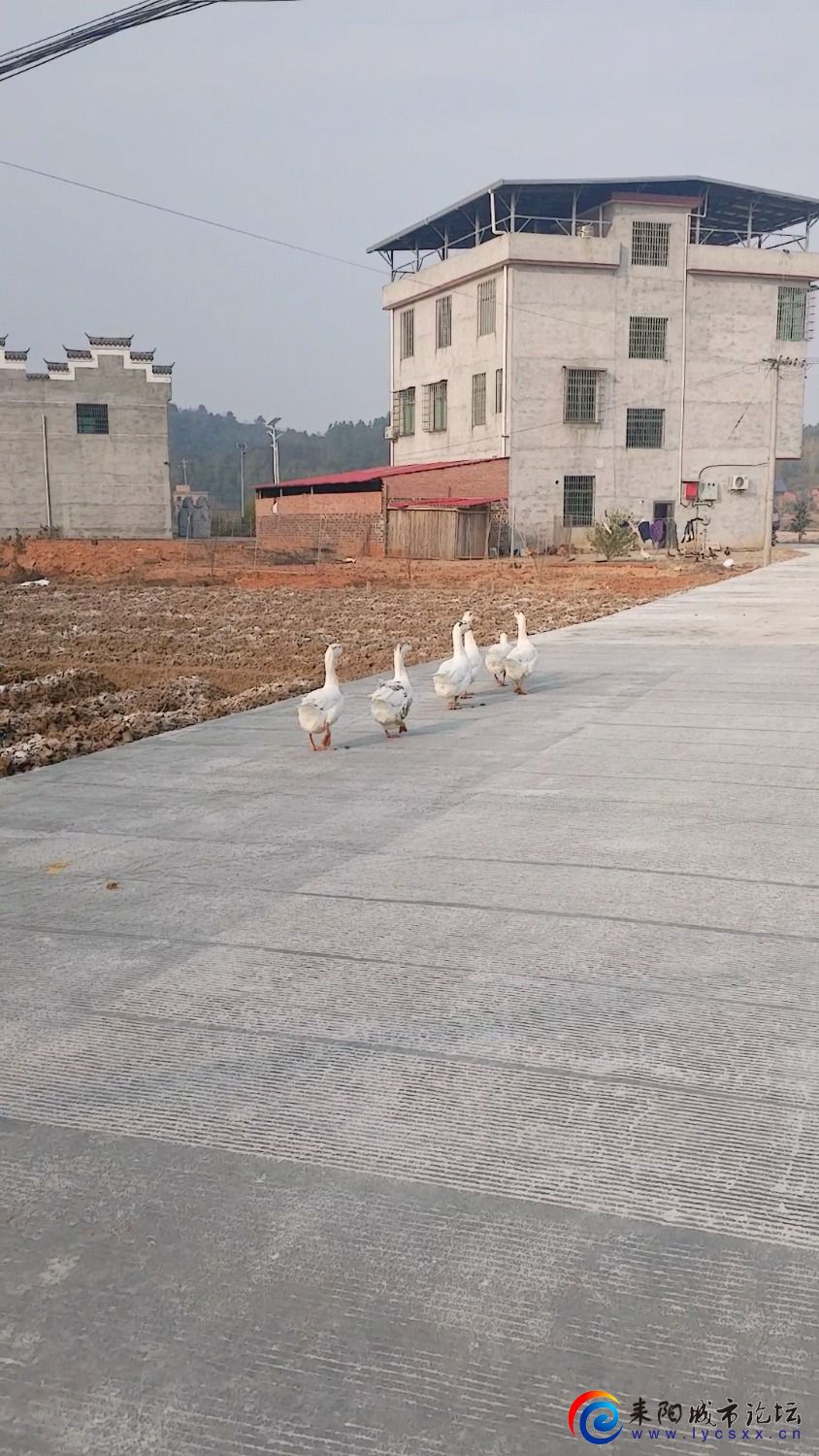 Videoframe_20241224_204921_com.huawei.himovie.local.jpg