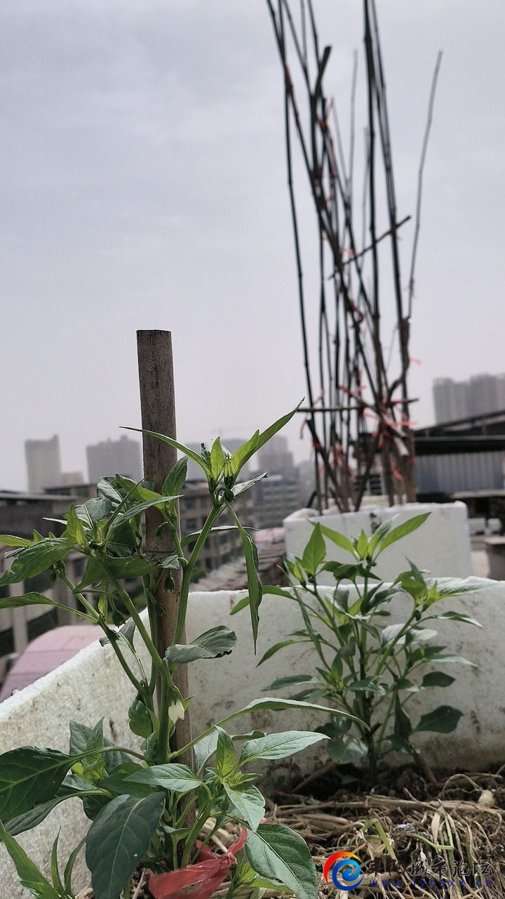 f7b9a5e8-ab37-4eba-b0c5-0c168588d3831744508820339.jpeg