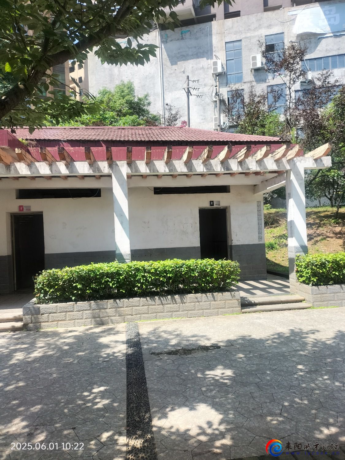 IMG20250601102219.jpg