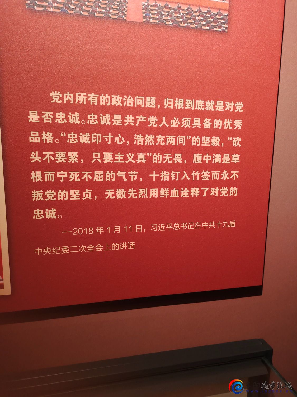 IMG_20250621_115117.jpg
