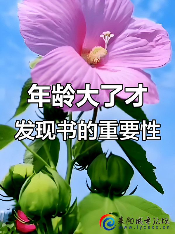 9169b24bec7530963d48c33a3f94ec1e_.jpg