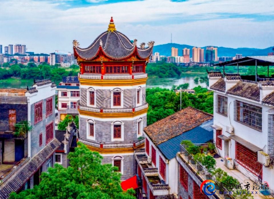 IMG_20251028_100203.jpg IMG_20251028_100203.jpg